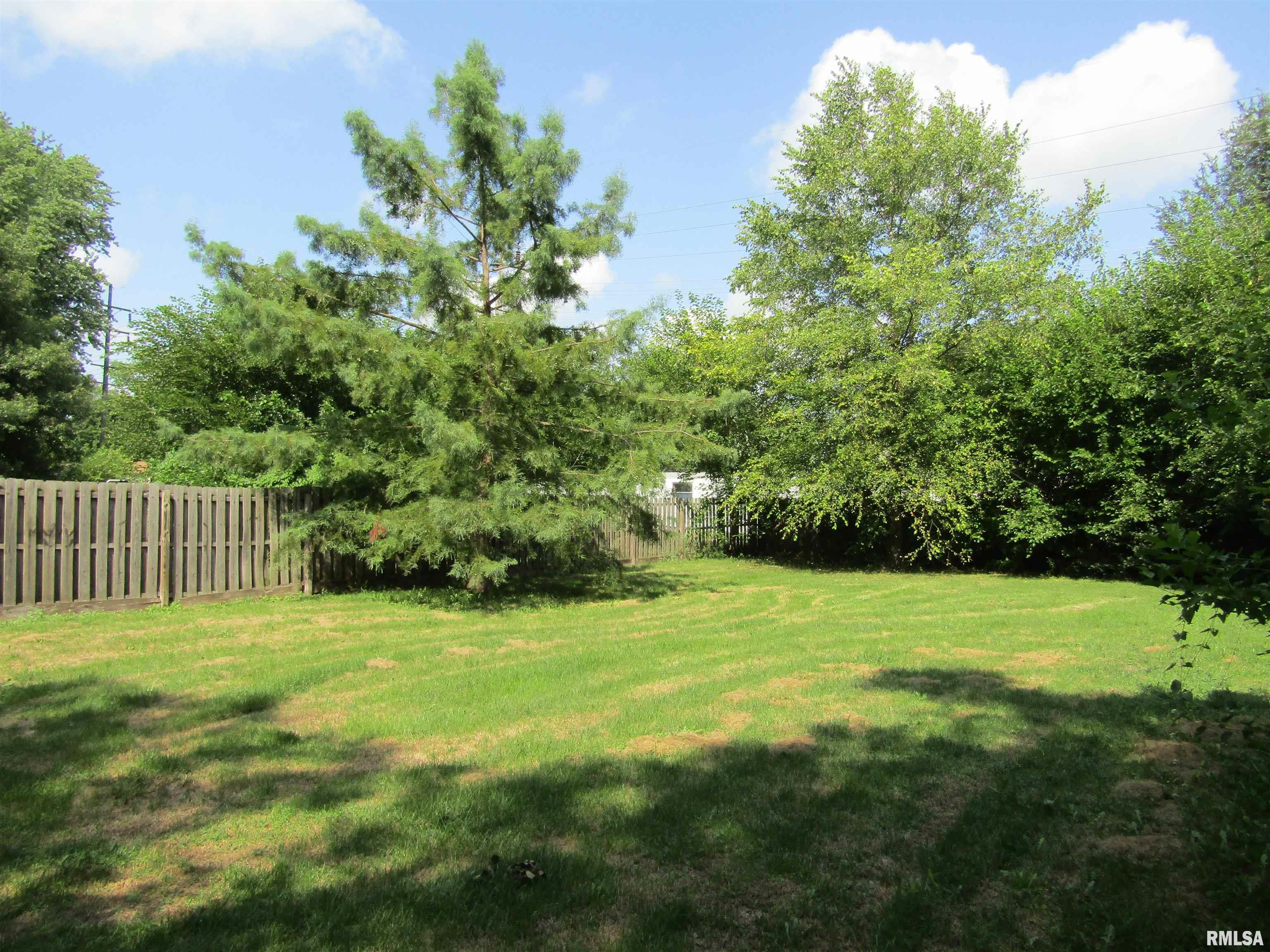 916 East Jackson Street Cuba, IL 61427 - Photo 52 of 52