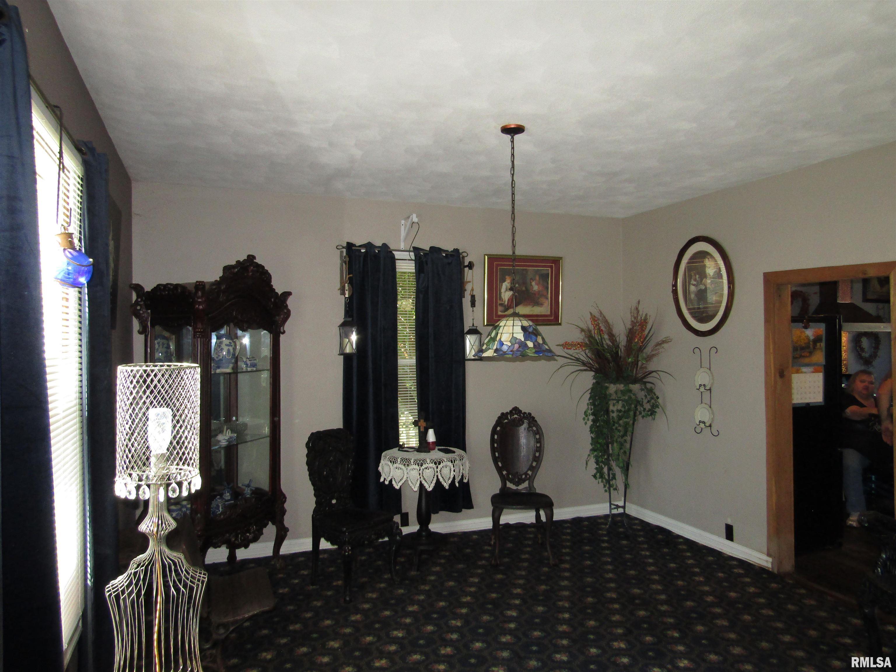 916 East Jackson Street Cuba, IL 61427 - Photo 6 of 52