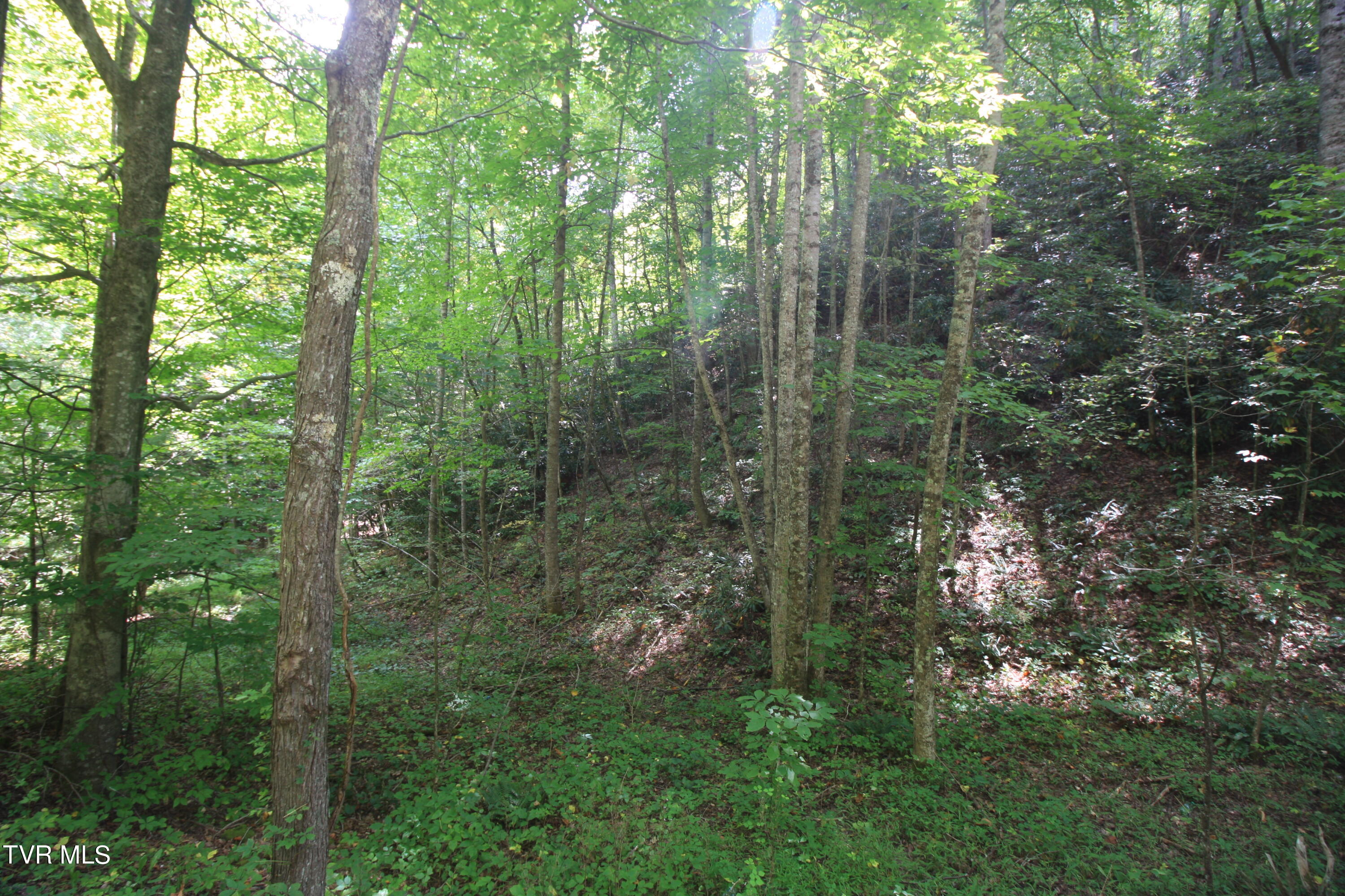 Tbd Murray Road Marion, VA 24354 - Photo 4 of 5 New Murray rd 013