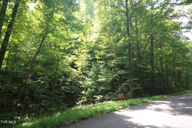 $179,900 | Tbd Murray Road, Marion, VA 24354