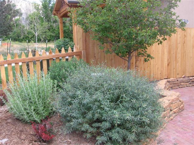 408 Le Ranch Boulevard Ridgway, CO 81432 - Photo 8 of 12 Landscape