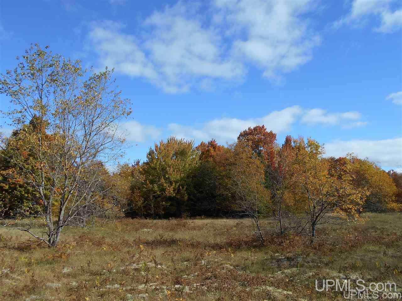 Tbd Tee Lake Road, Unit EAST PARCEL Germfask, MI 49836 - Photo 8 of 10