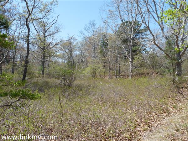 66 Capawock Road West Tisbury, MA 02568 - Photo 2 of 4 http://d1qzqeyxiitrap.cloudfront.net/photos/28528/600/b7cae79c.jpg