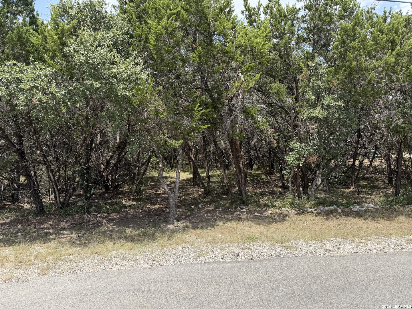 180 Rosenberry Bulverde, TX 78163 - Photo 9 of 37 Gallery Image 9