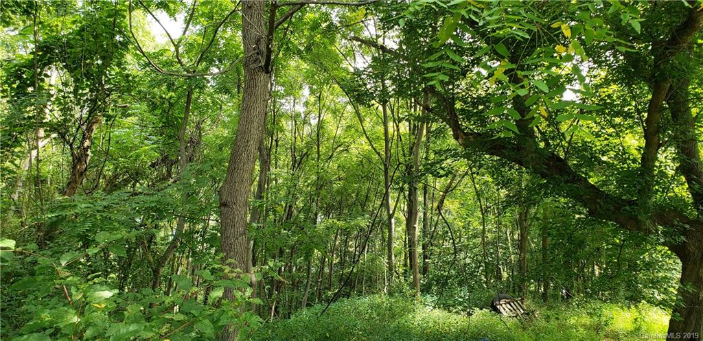 - Mingus Hill Road Canton, NC 28716 - Photo 2 of 6