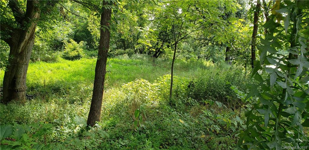 - Mingus Hill Road Canton, NC 28716 - Photo 3 of 6