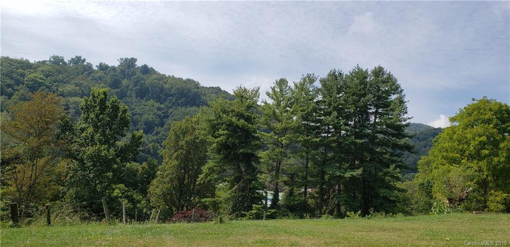 - Mingus Hill Road Canton, NC 28716 - Photo 6 of 6