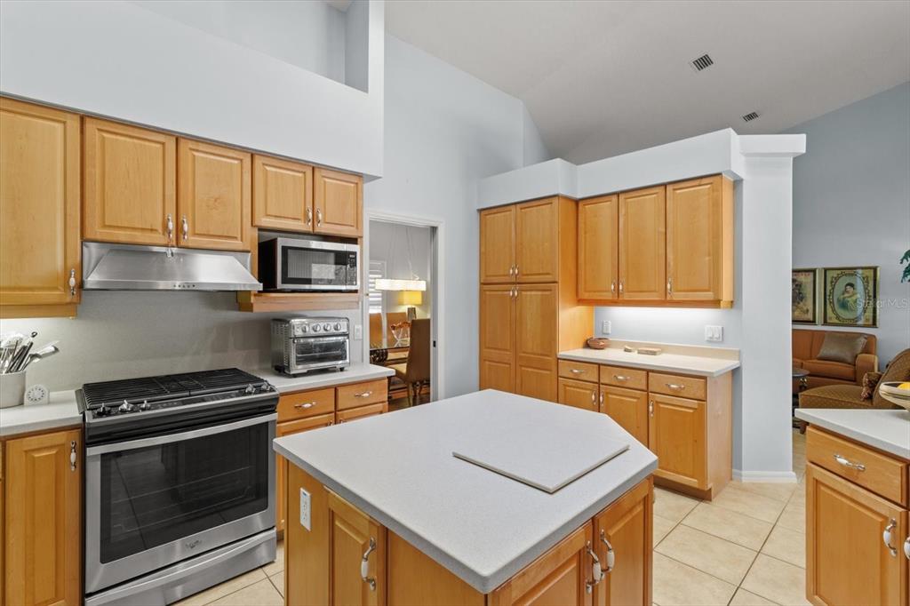 1802 North Musial Point Hernando, FL 34442 - Photo 14 of 42 a kitchen with a stove a sink and a refrigerator