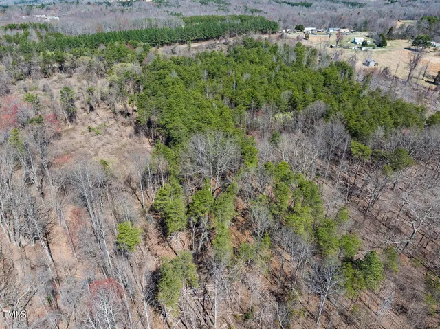 a view of a yard with large trees