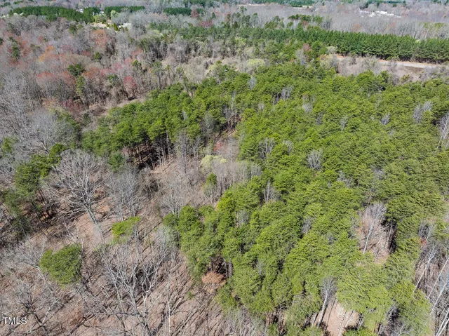 a view of a yard with a plant
