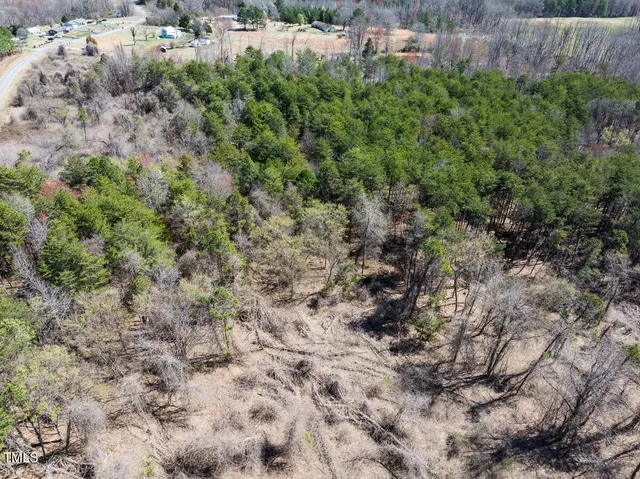 a view of a yard with plants and wooden fence