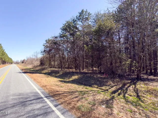 a view of a yard with plants and a bench