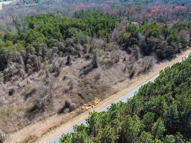 a view of a forest with a street