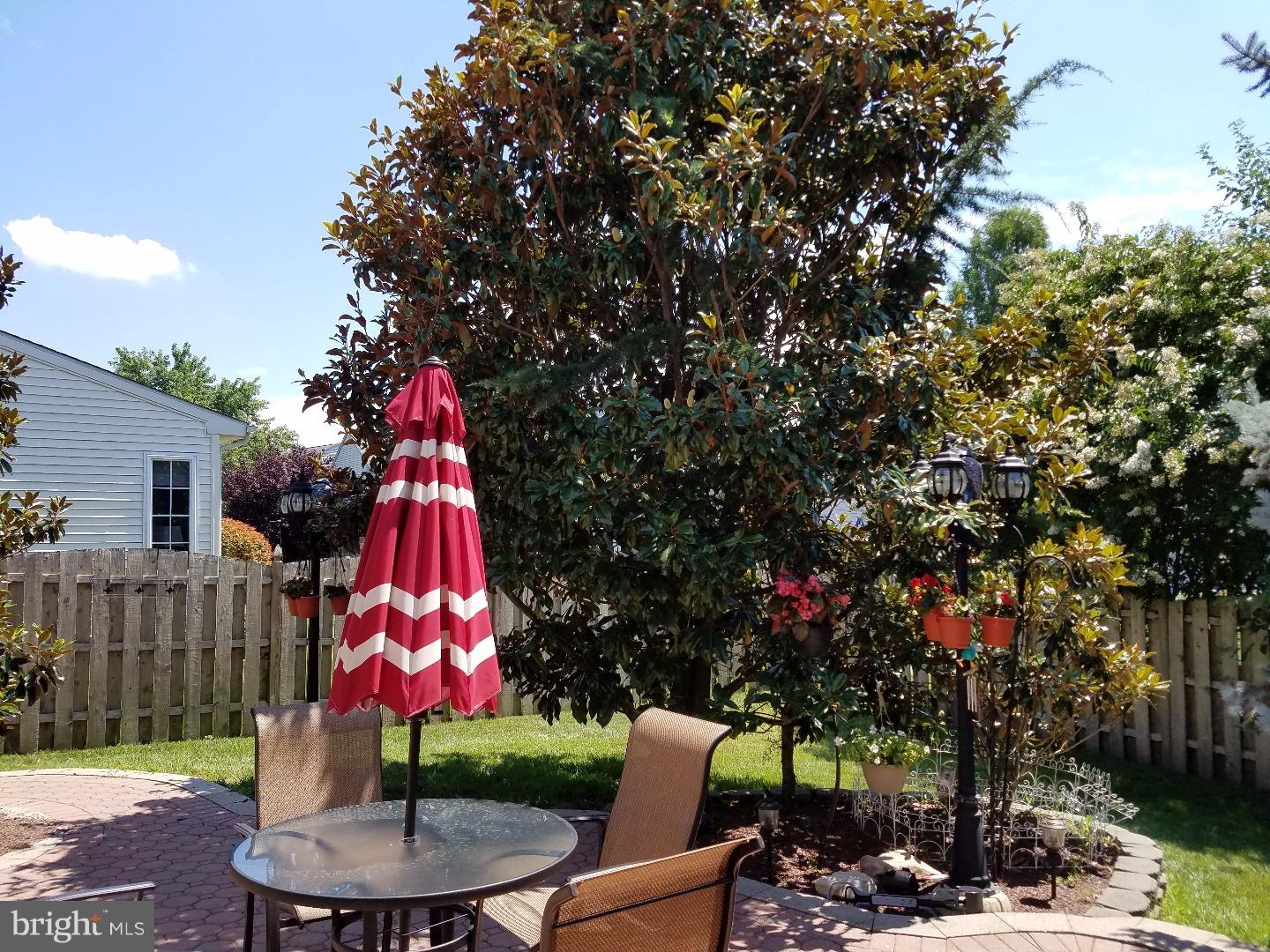 29 Teaberry Lane Riverside, NJ 08075 - Photo 22 of 25 Back Yard