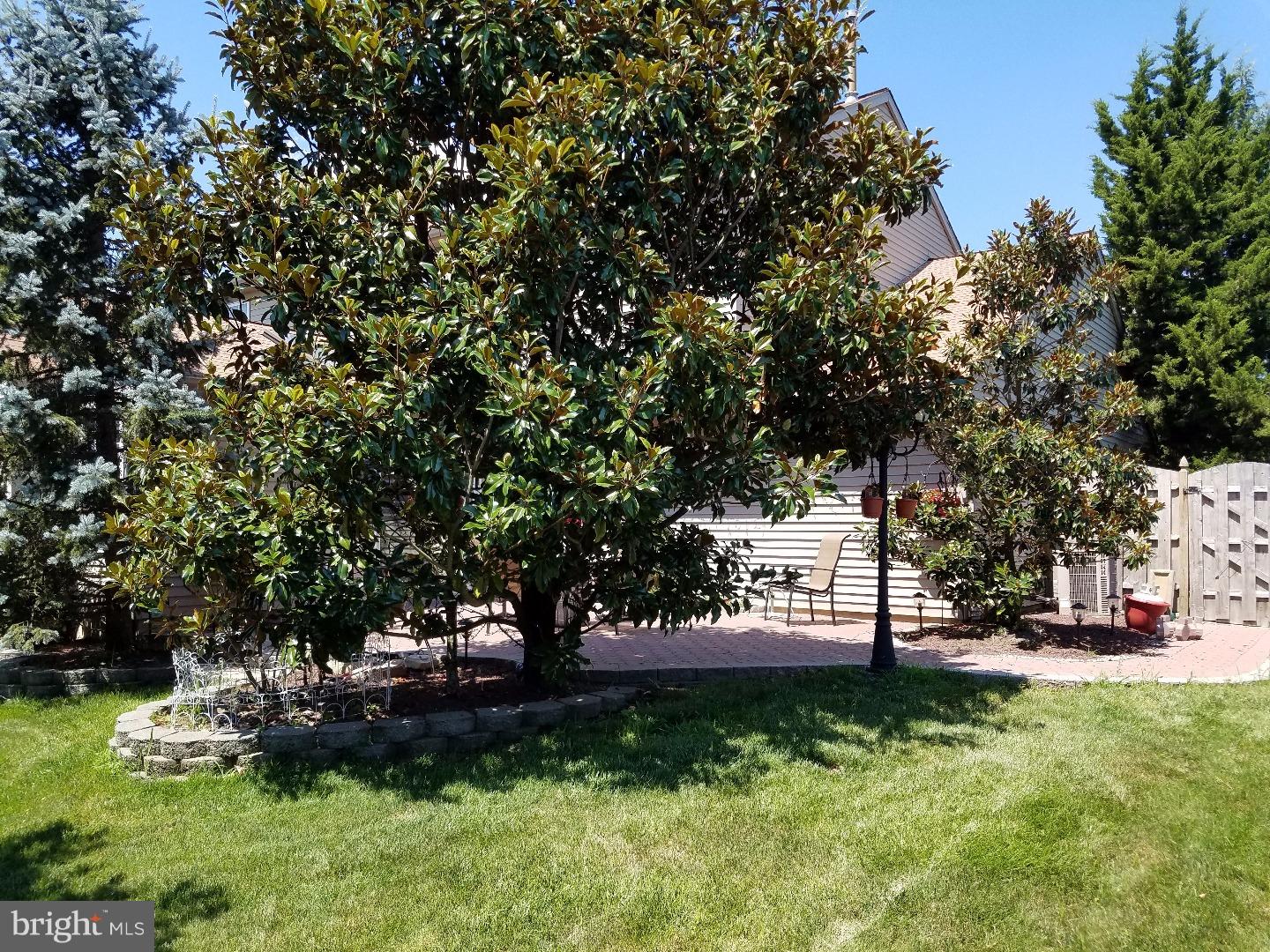 29 Teaberry Lane Riverside, NJ 08075 - Photo 23 of 25 Back Yard