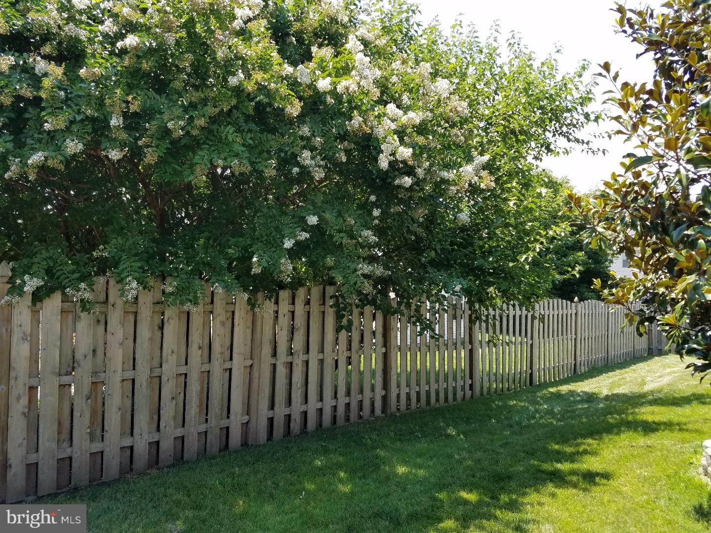 29 Teaberry Lane Riverside, NJ 08075 - Photo 24 of 25 Back Yard