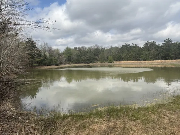 a view of a lake with a city