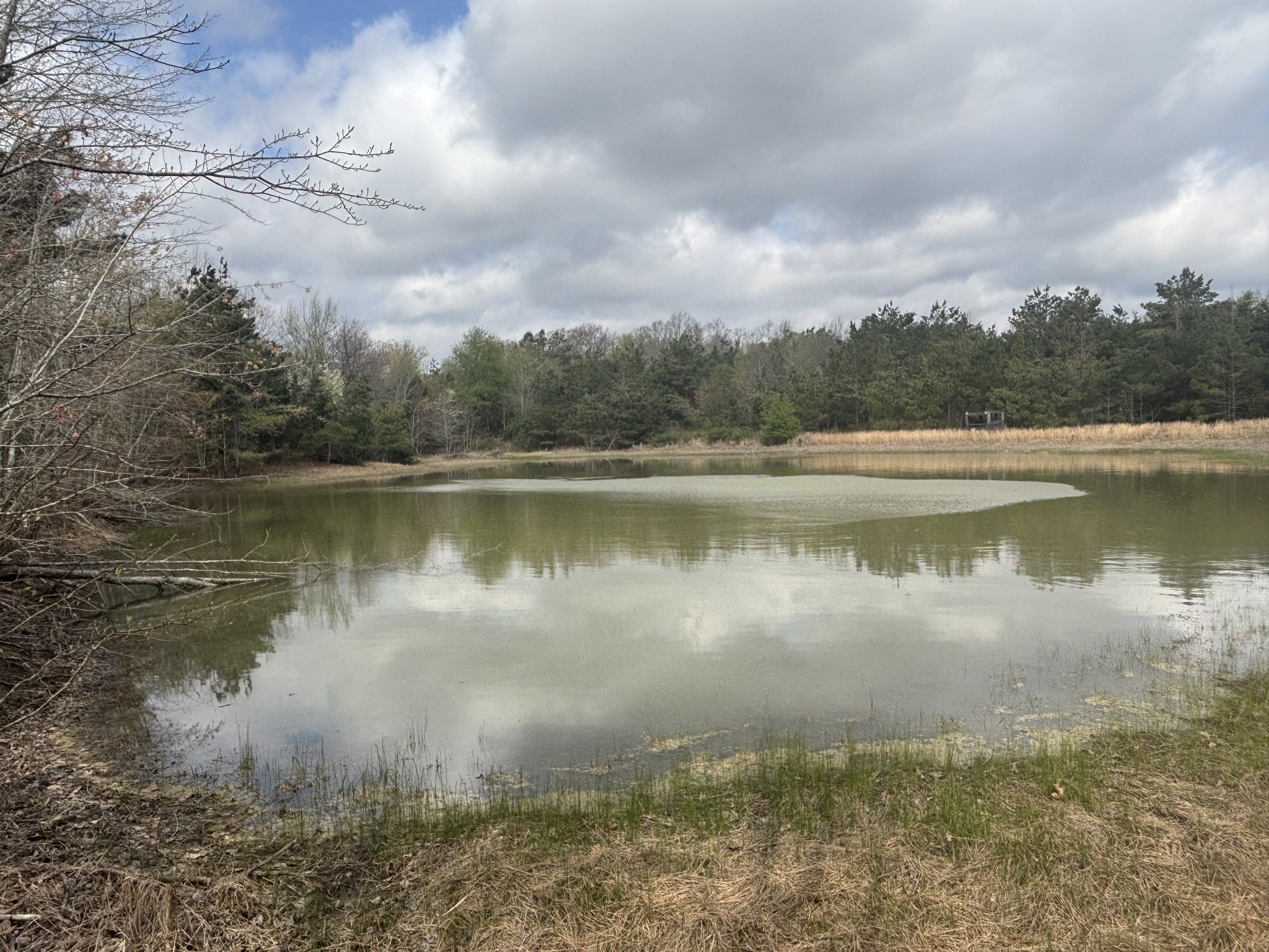 1275 State Highway 48 Dickson, TN 37055 - Photo 2 of 8