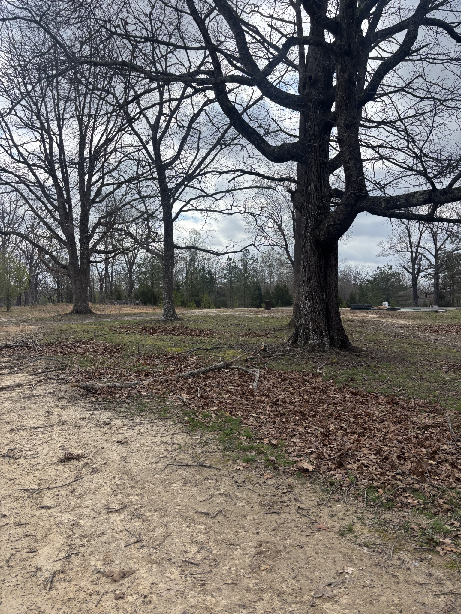 1275 State Highway 48 Dickson, TN 37055 - Photo 5 of 8