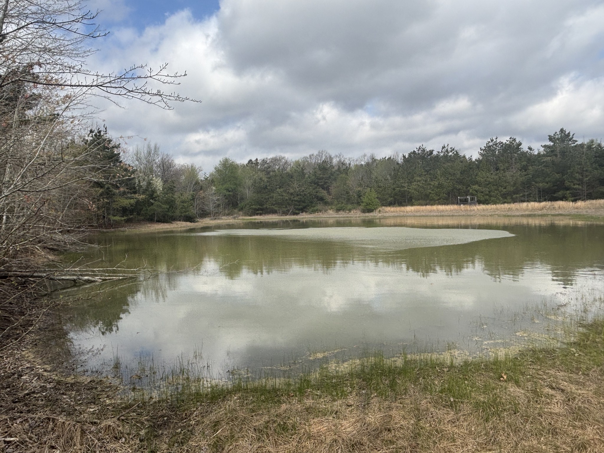 1275 State Highway 48 Dickson, TN 37055 - Photo 6 of 8