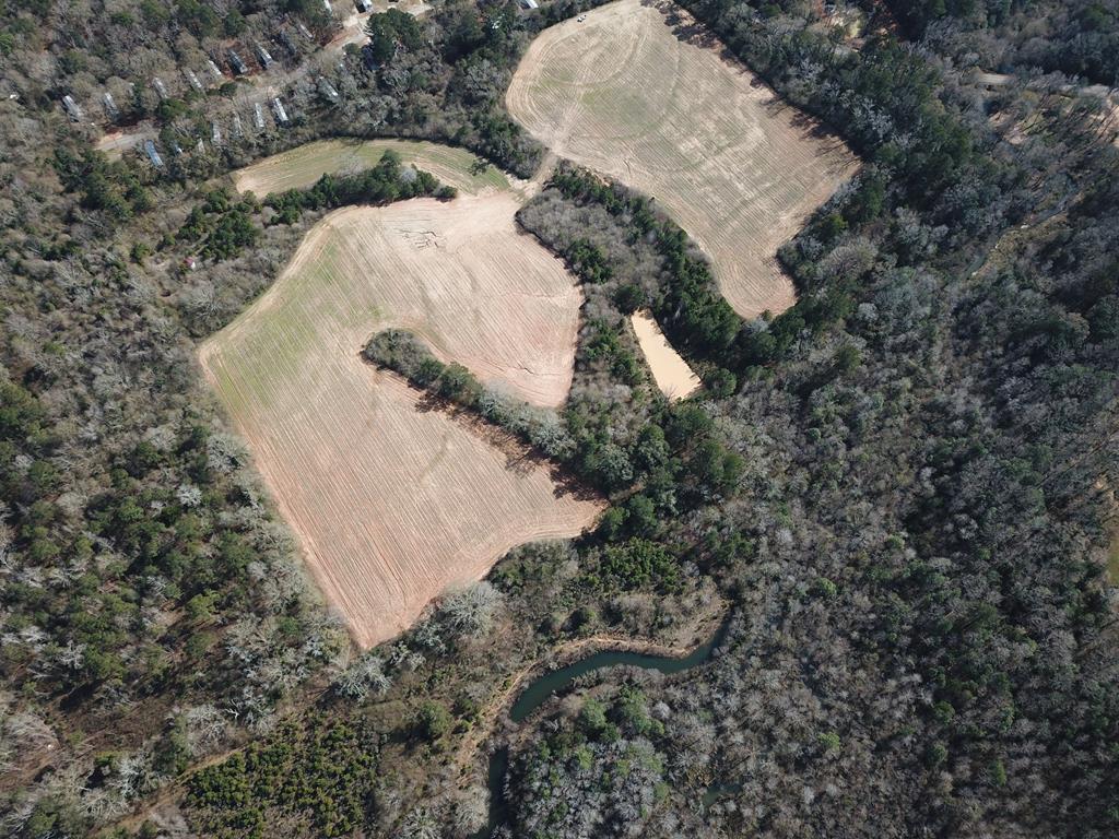 50.45-acres Trawick Road Dothan, AL 36301 - Photo 56 of 62