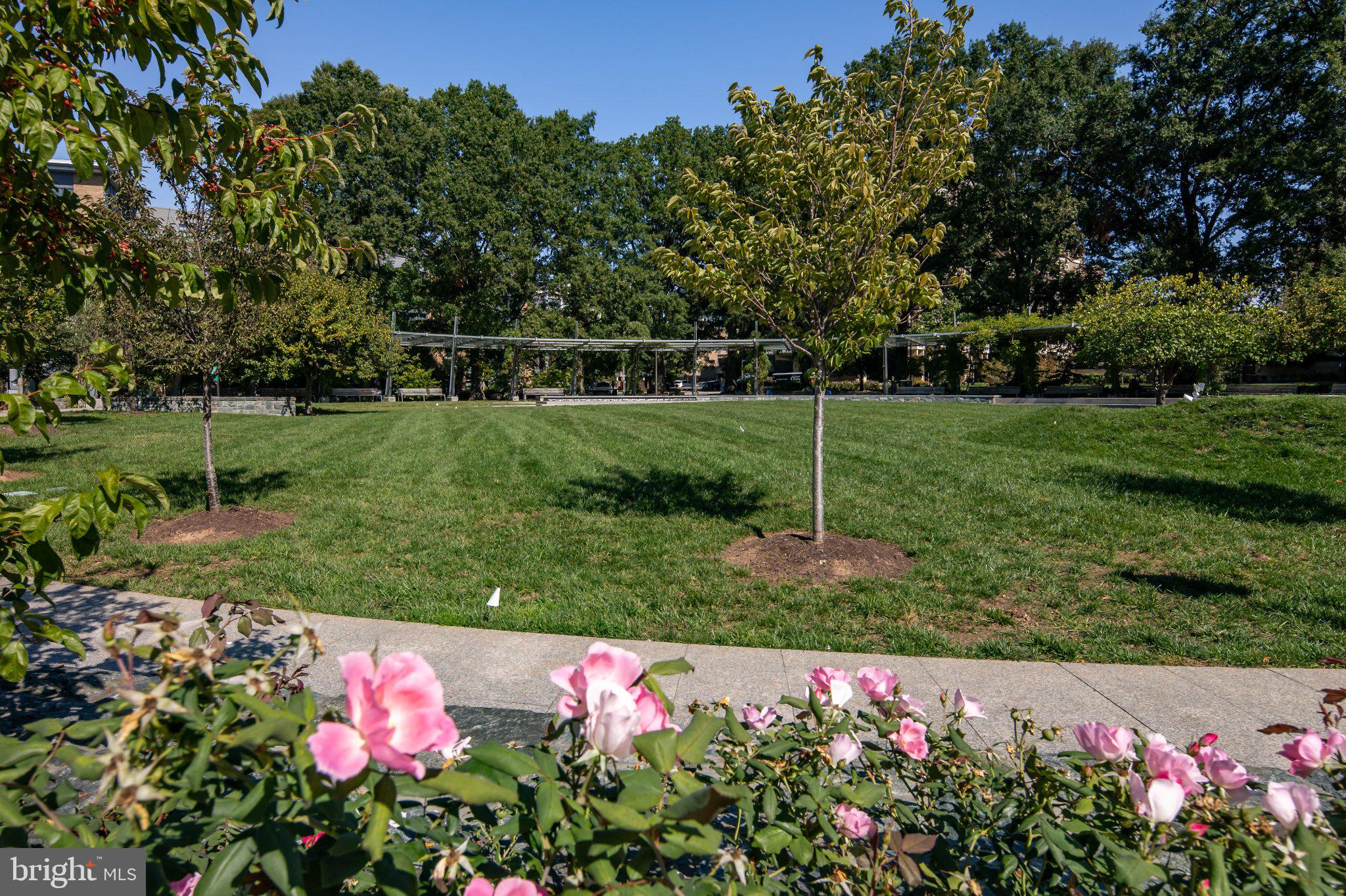 525 Southwest Water Street Southwest, Unit 404 Washington, DC 20024 - Photo 47 of 82 Serene park with blooming roses.