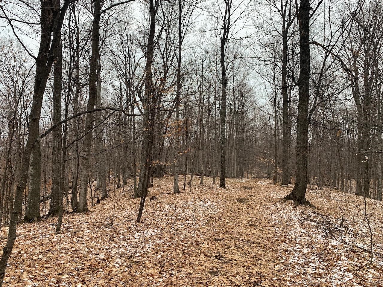 0 South Lime Lake Road, Unit LOT: B Cedar, MI 49621 - Photo 24 of 77 Gallery Image 24