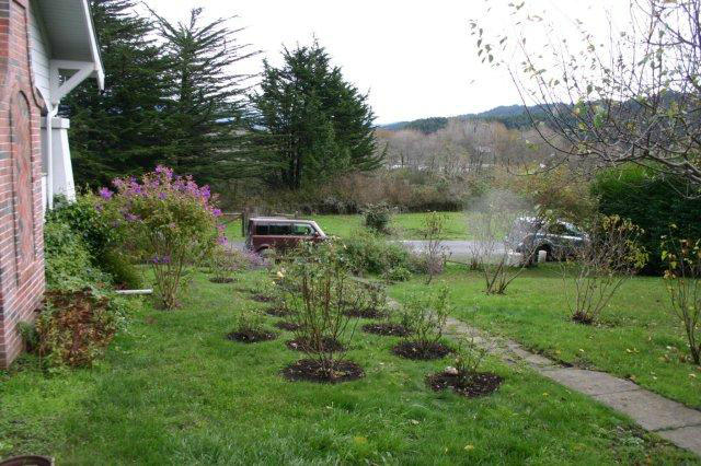12-14 Weymouth Bluff Road Ferndale, CA 95536 - Photo 66 of 77
