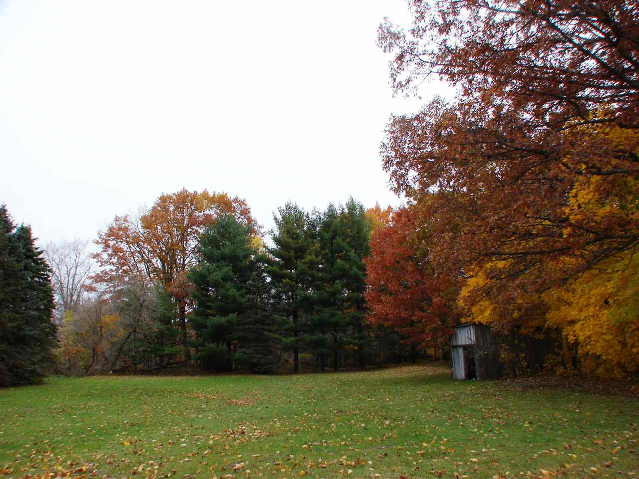 4266 West Birmingham Road Alma, MI 48801 - Photo 2 of 21 1854756-1.JPG
