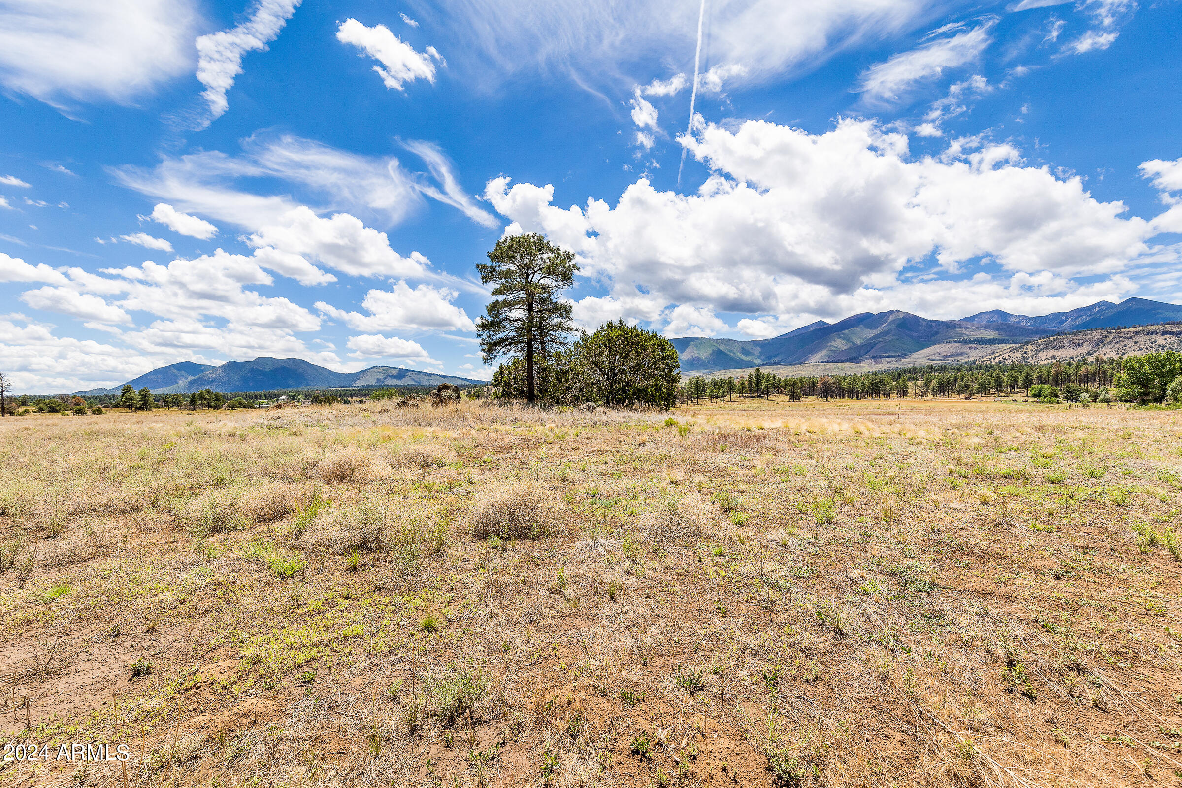5464 East Pumpkin Patch Road Flagstaff, AZ 86004 - Photo 6 of 17 30151004R-2