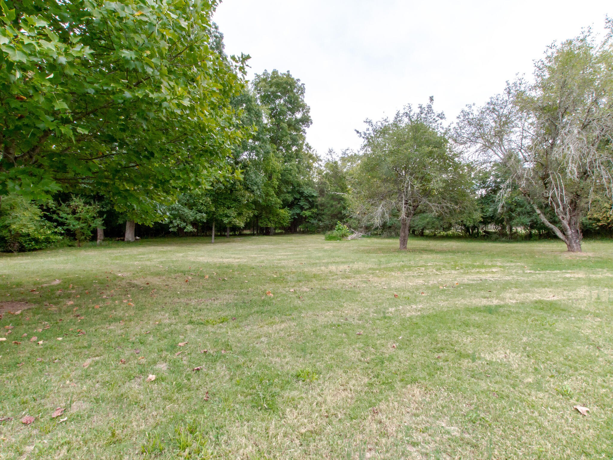 5159 King Tucks Road Murfreesboro, TN 37129 - Photo 34 of 41 Gallery Image 34