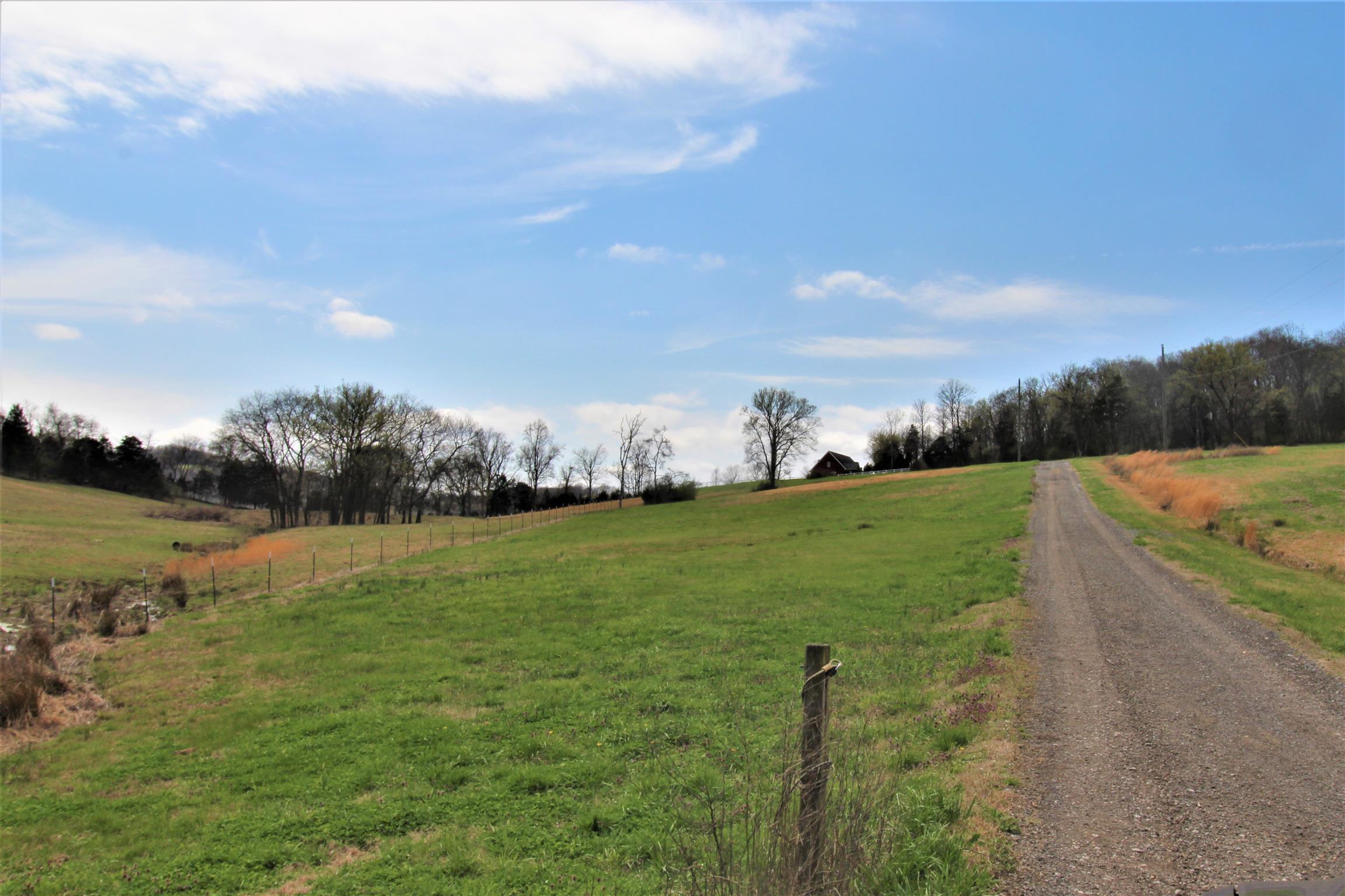 828 Fite Road Watertown, TN 37184 - Photo 4 of 30 Gallery Image 4