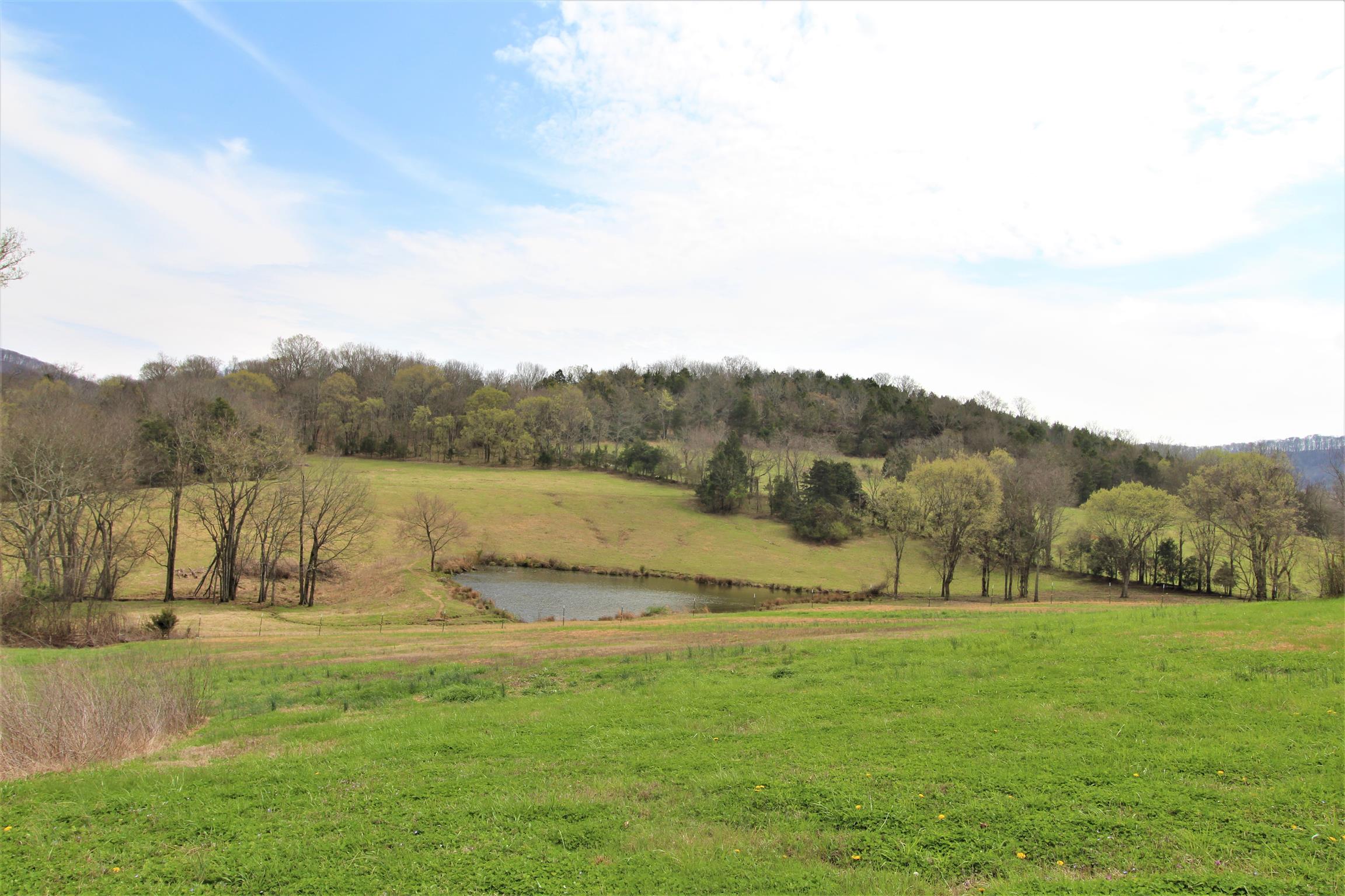828 Fite Road Watertown, TN 37184 - Photo 5 of 30 Gallery Image 5