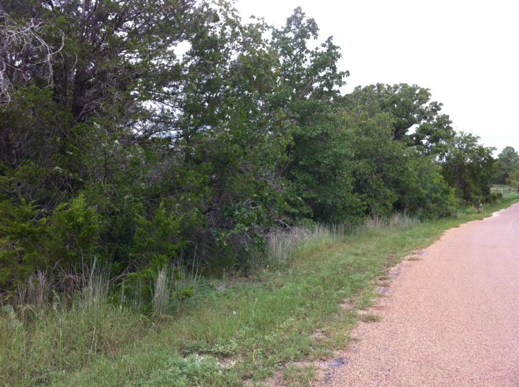 Tbd Sayers Road Bastrop, TX 78602 - Photo 1 of 1 Gallery Image 1