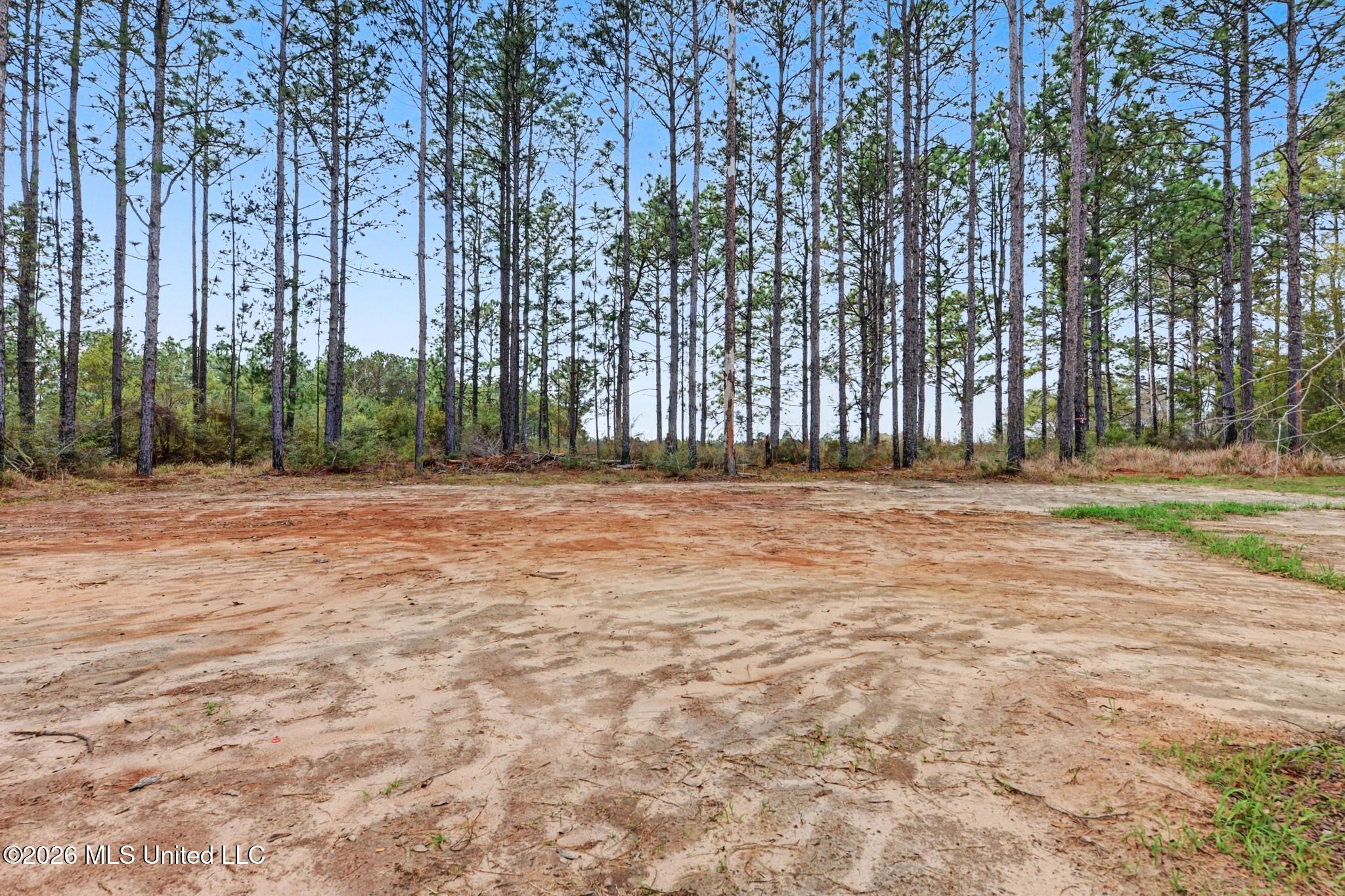 200 Webb Davis Road Lucedale, MS 39452 - Photo 30 of 32 030