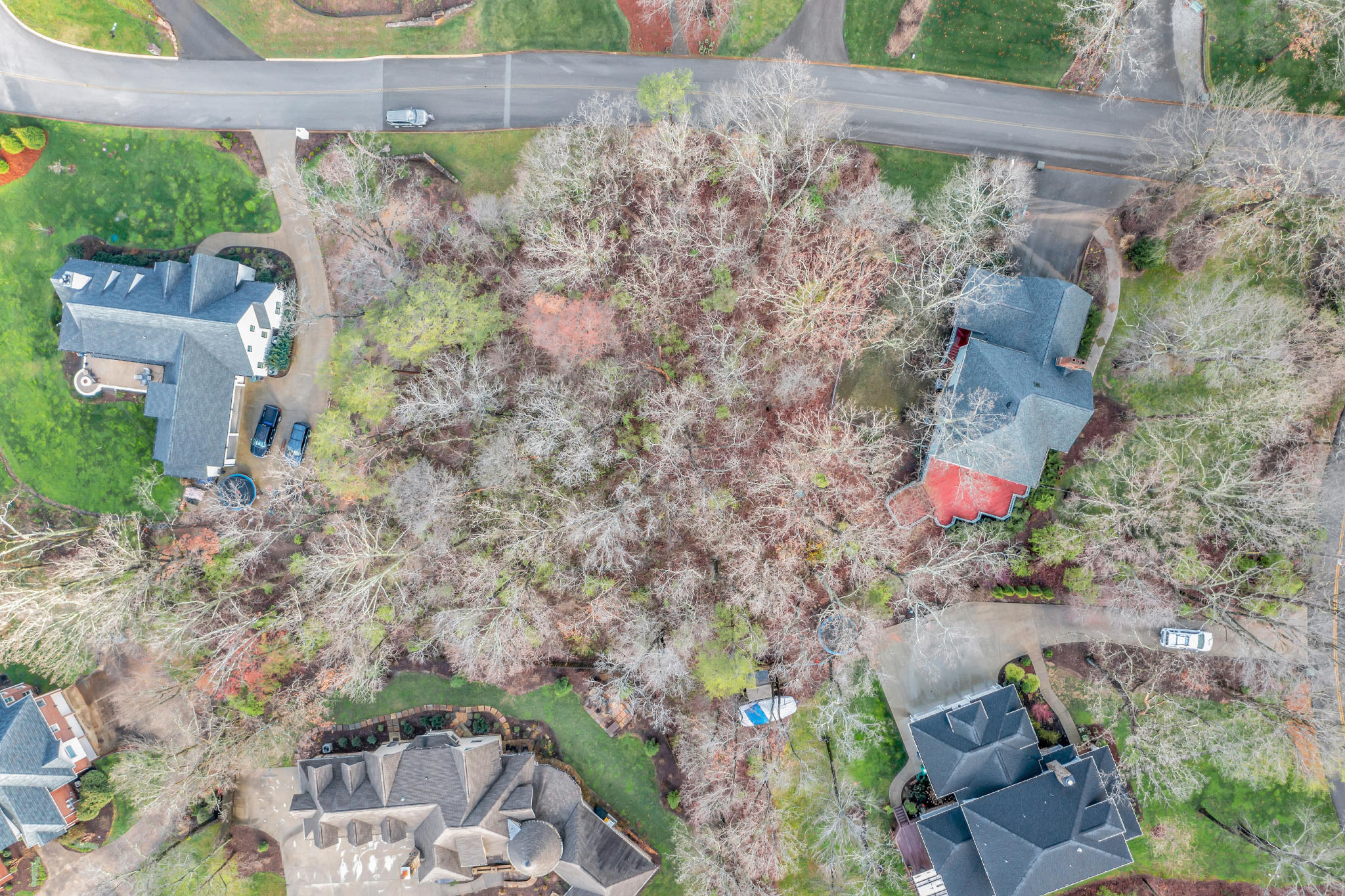 2 Close Family Road Signal Mountain, TN 37377 - Photo 18 of 18 DJI_0132