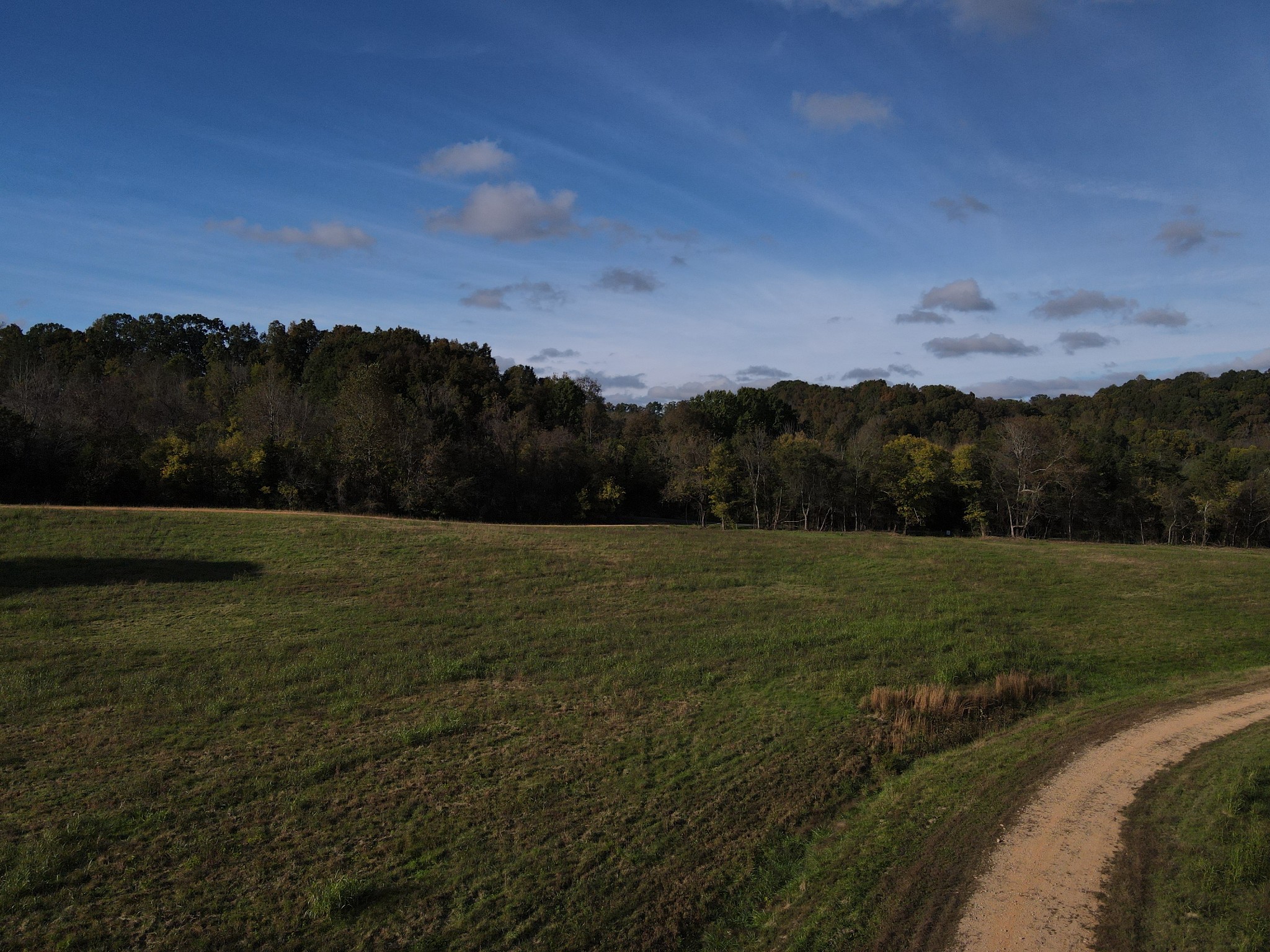 11 Chicken Creek Road Pulaski, TN 38478 - Photo 4 of 4 a view of a field with an ocean