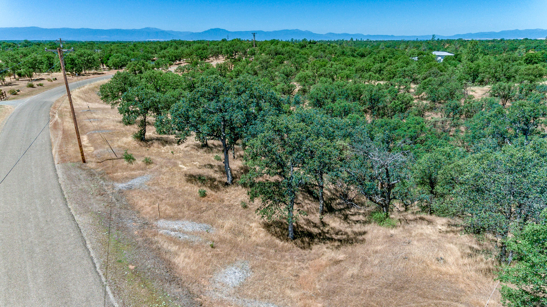 18180 Pack Saddle Road Cottonwood, CA 96022 - Photo 1 of 9 a view of a yard with a tree
