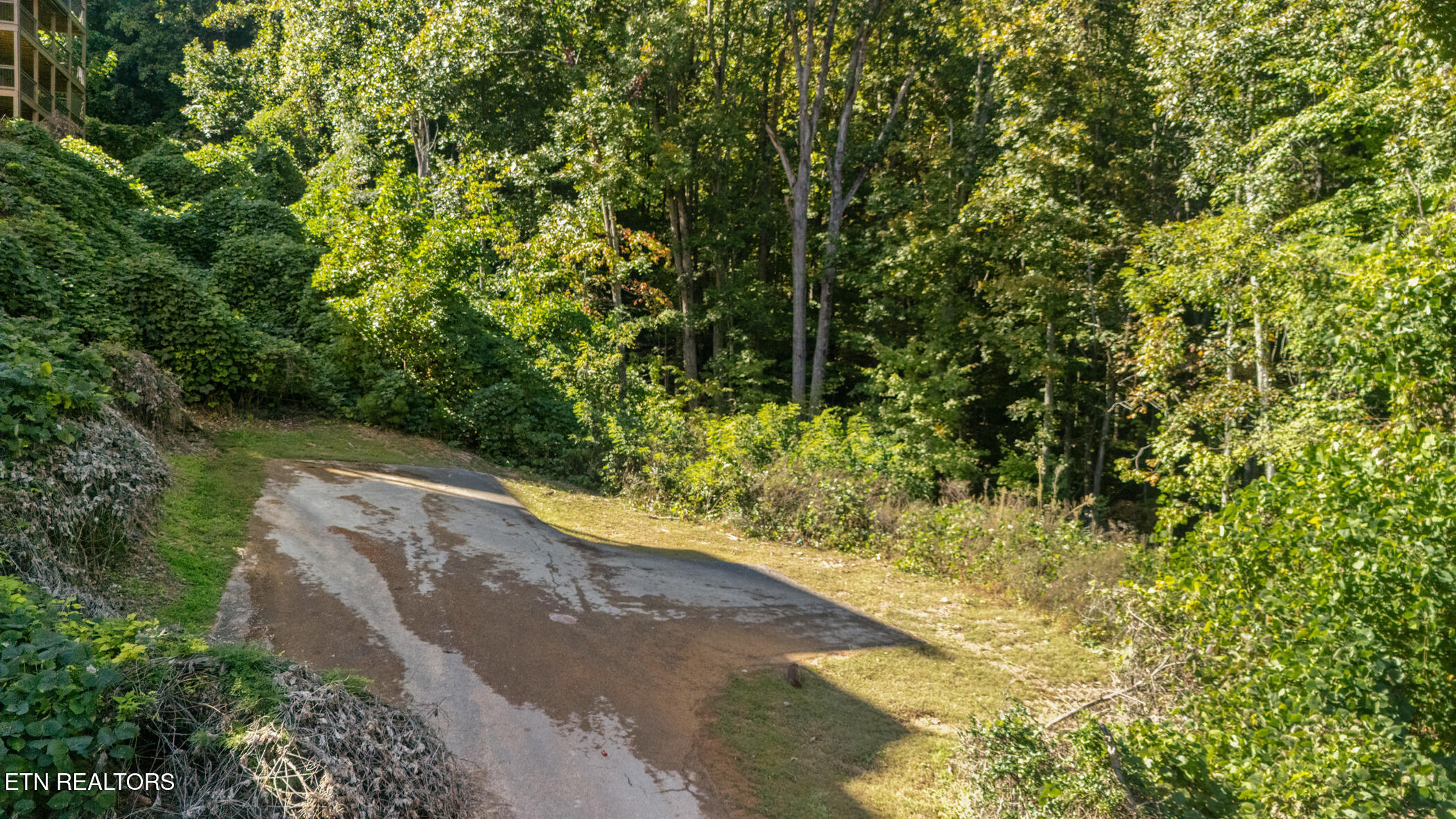 14 Pine Valley Way Pigeon Forge, TN 37862 - Photo 6 of 18 dji_20251010150631_0956_d