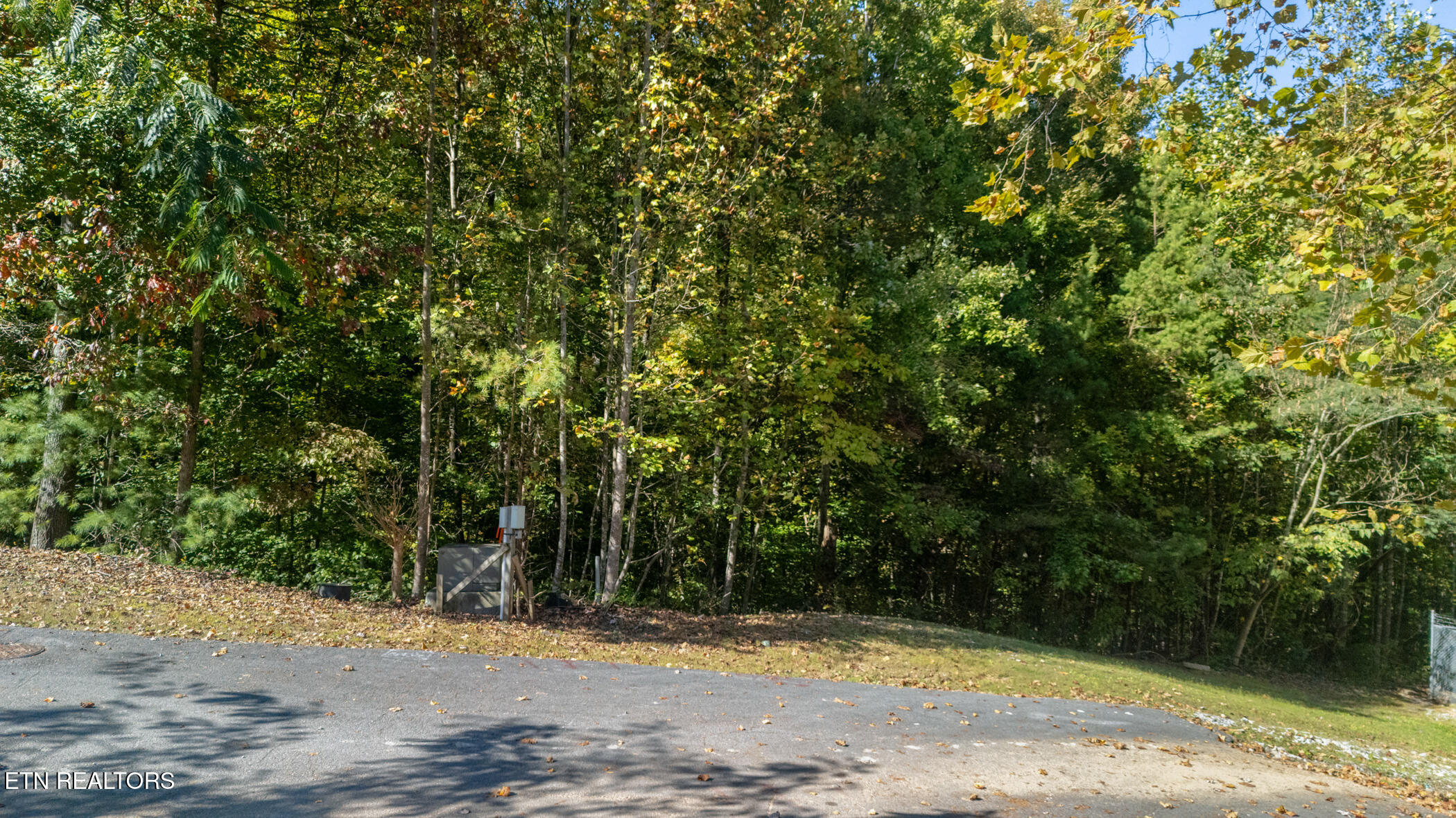 14 Pine Valley Way Pigeon Forge, TN 37862 - Photo 8 of 18 dji_20251010150809_0965_d