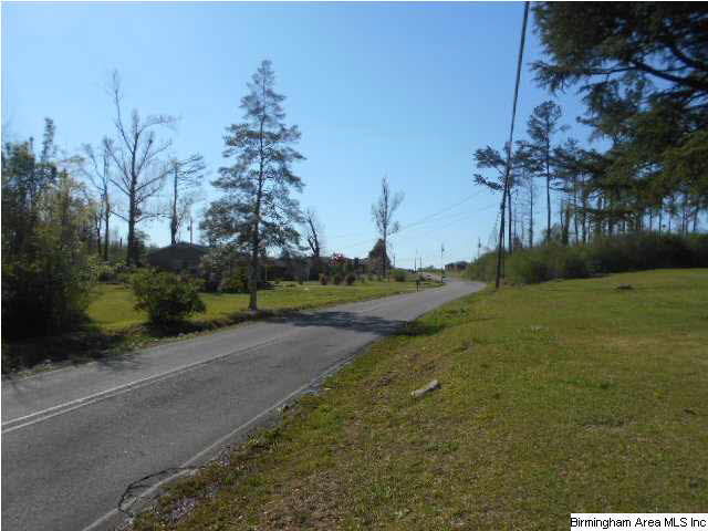 719 Pinewood Avenue Bessemer, AL 35023 - Photo 12 of 12