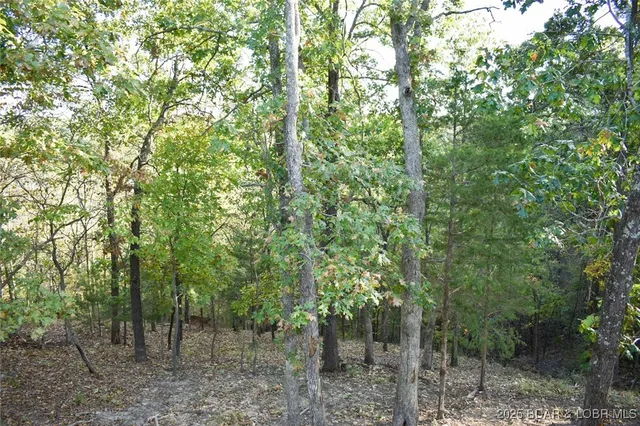 $319,000 | 190 Merlin Drive, Camdenton, MO 65020