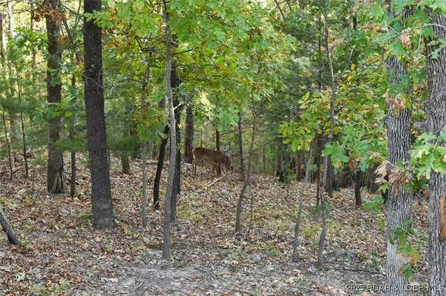 $319,000 | 190 Merlin Drive, Camdenton, MO 65020