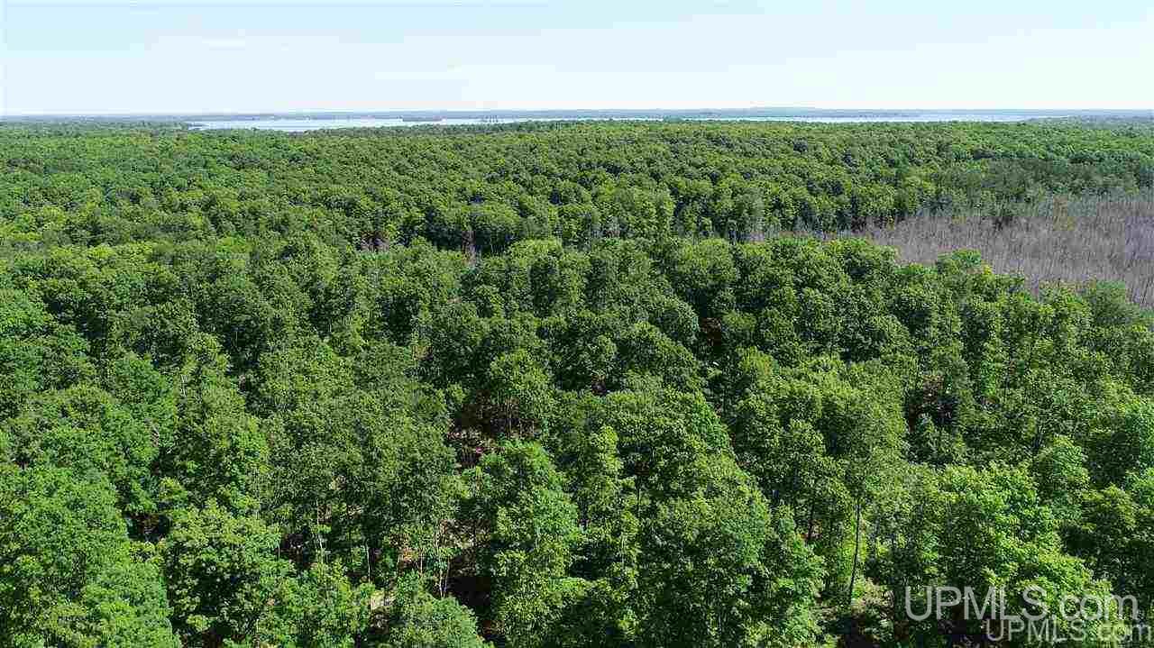 Tbd Off S Curtis Road Germfask, MI 49820 - Photo 6 of 24 Gallery Image 6