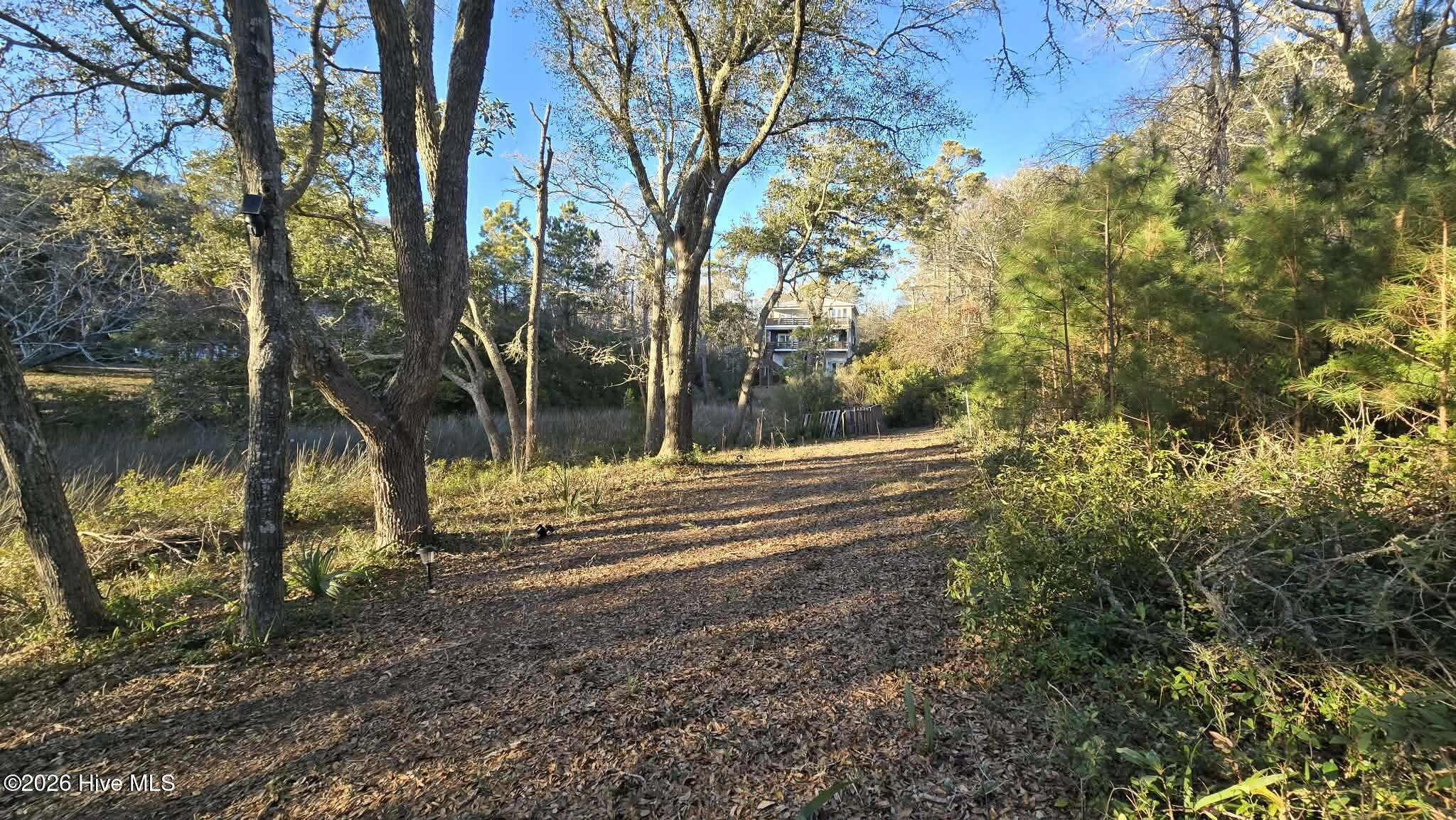 2659 Seashore Road Southwest Supply, NC 28462 - Photo 59 of 75 LARGE OAK TREE GROVE