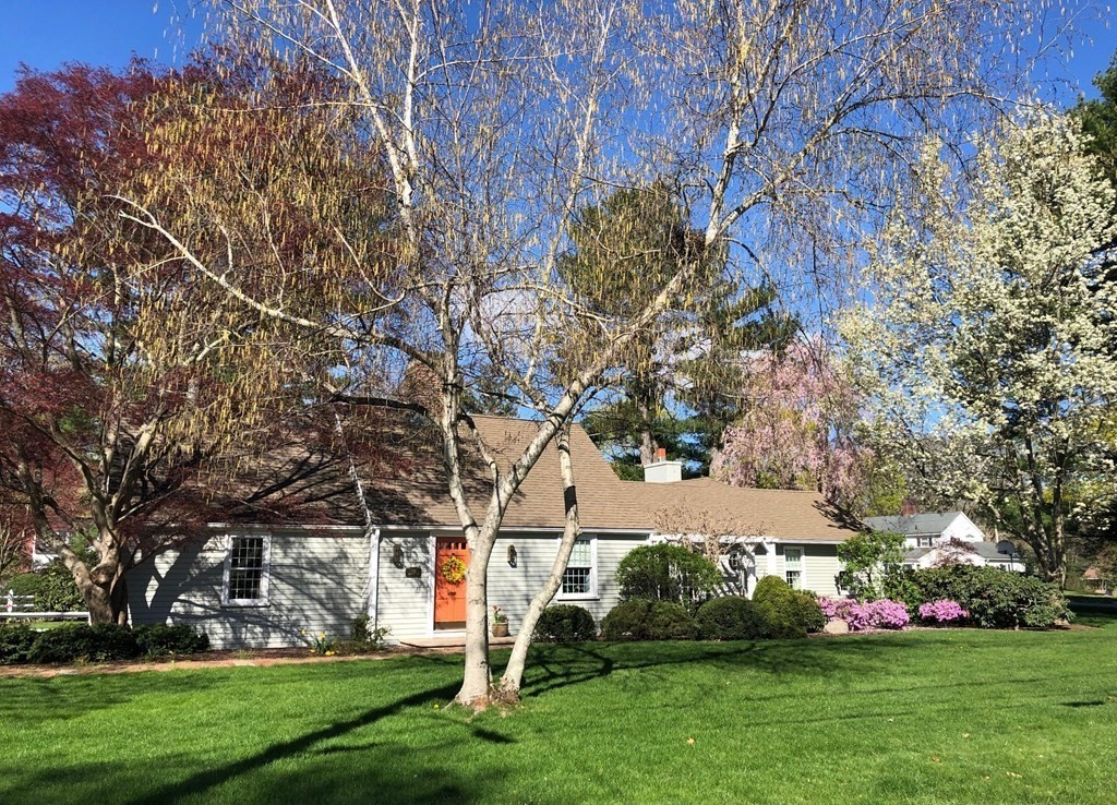 a white house that has a tree in front of it