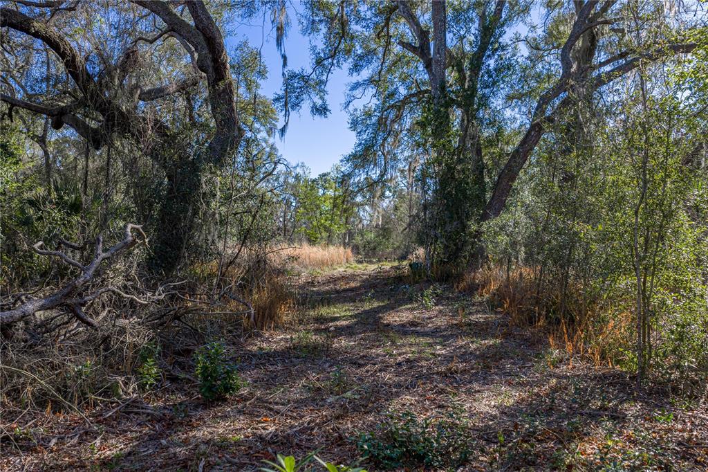 0 Rowntree Drive Dade City, FL 33523 - Photo 11 of 14