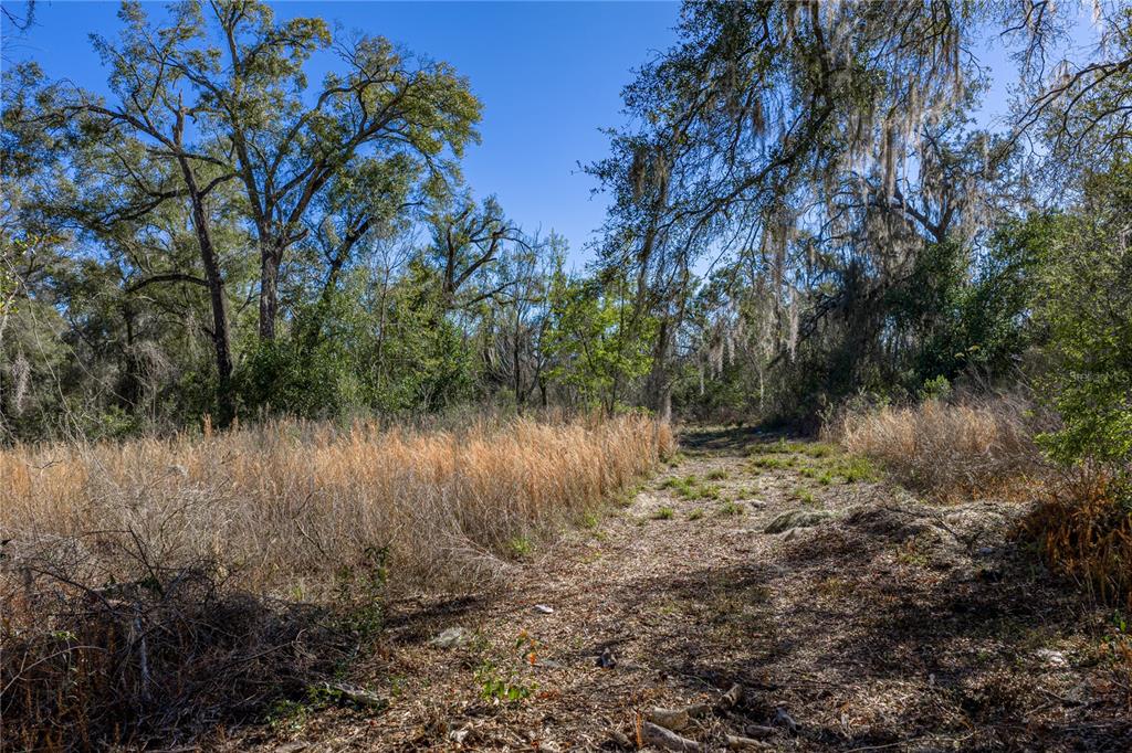 0 Rowntree Drive Dade City, FL 33523 - Photo 12 of 14