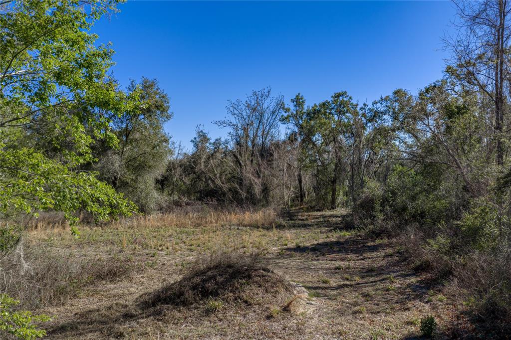 0 Rowntree Drive Dade City, FL 33523 - Photo 13 of 14