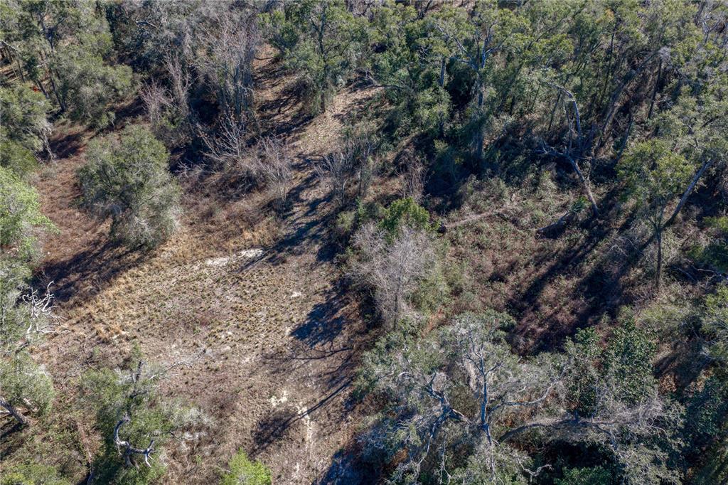 0 Rowntree Drive Dade City, FL 33523 - Photo 14 of 14